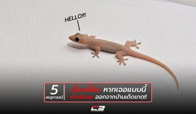 5 เหตุการณ์ เรื่องลี้ลับหากเจอแบบนี้ ห้ามขับรถออกจากบ้านเด็ดขาด!!