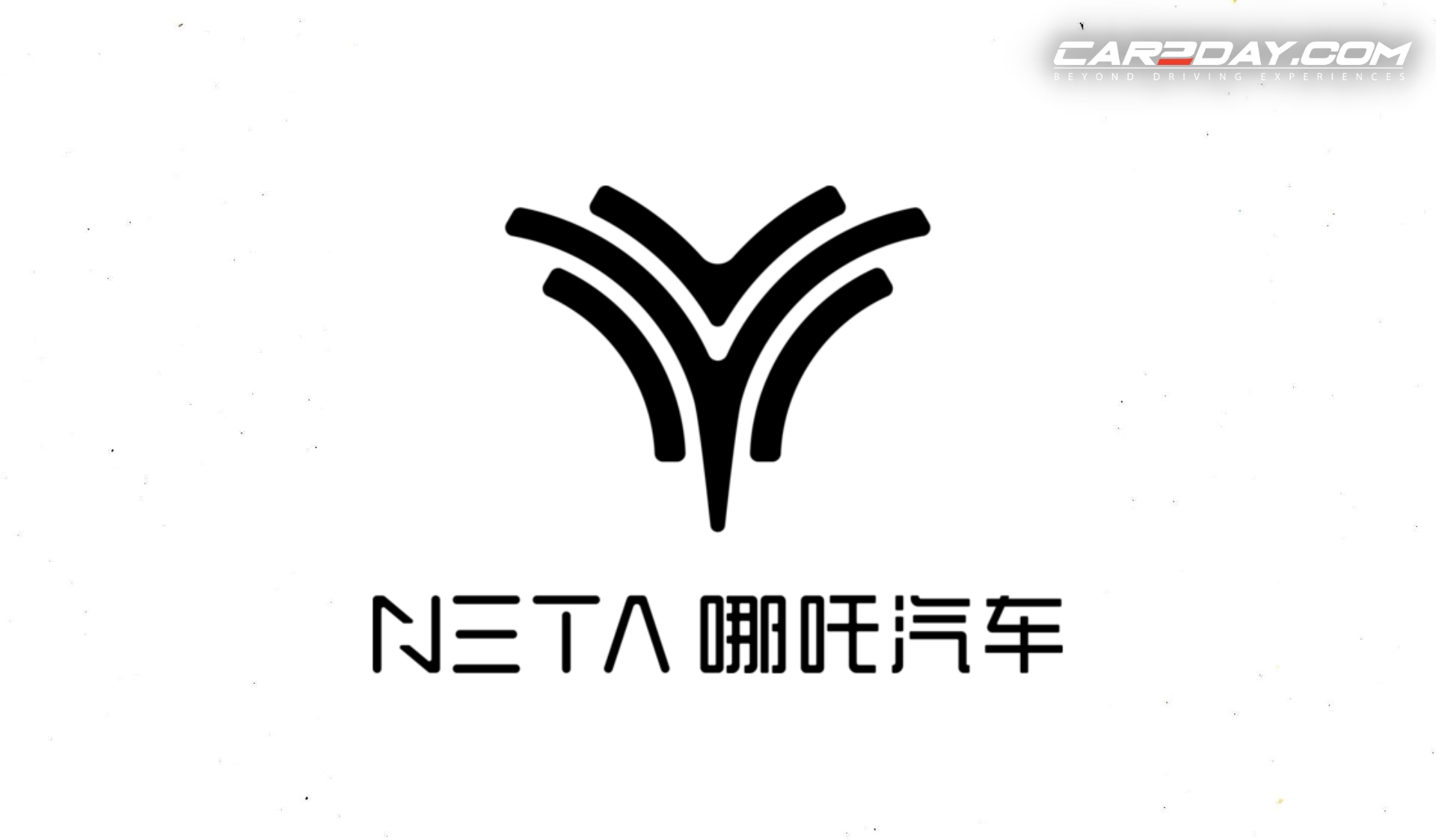 NETA ล้มละลาย